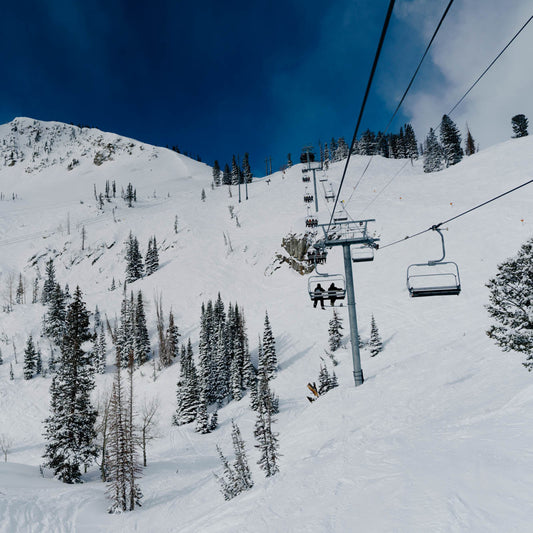 Life on the Board: Growing Up, Growing Older, but Still Riding