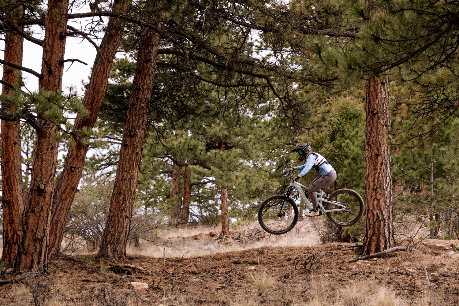 A mountain biker in a forest setting, captured mid-air as they navigate a dirt trail between tall pine trees.